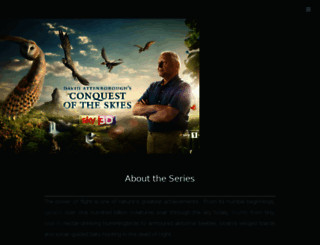 conquestoftheskies.com screenshot