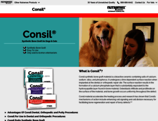 consil.info screenshot