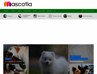 consultas.mascotia.com screenshot