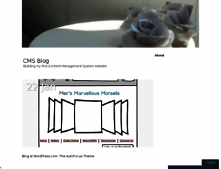 contentmanagementsystemblog.wordpress.com screenshot