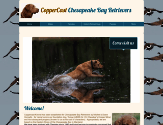 coppercastchesapeakes.com screenshot