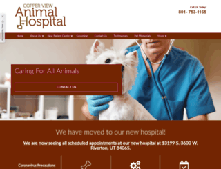 copperviewanimalhospital.com screenshot