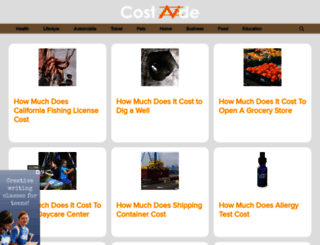 costmentor.com screenshot