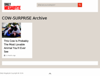 cow-surprise.dailymegabyte.com screenshot