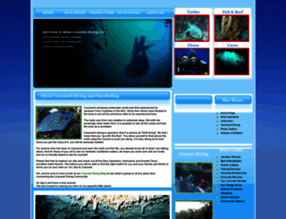 cozumel-diving.net screenshot
