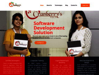 cranberrystech.com screenshot