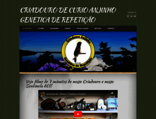 criadourodecurioanjinho.weebly.com screenshot