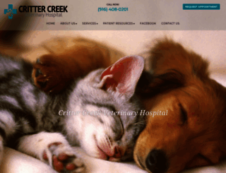 crittercreekvet.com screenshot