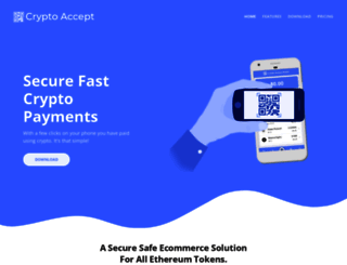 crypto-accept.com screenshot