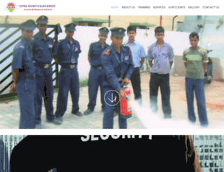 csasindia.co.in screenshot