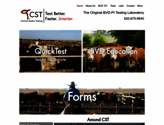 cstbvd.com screenshot