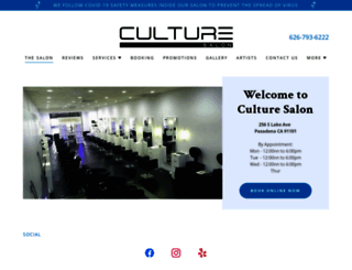culturesalon.com screenshot