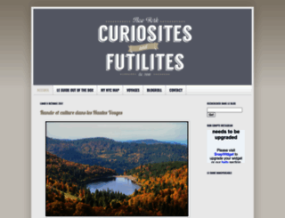 curiosites-futilites-new-york.com screenshot