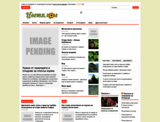 cvetya.com screenshot