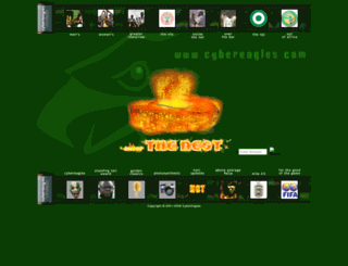 cybereagles.com screenshot
