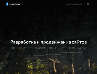 cyberica.ru screenshot