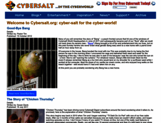 cybersalt.org screenshot