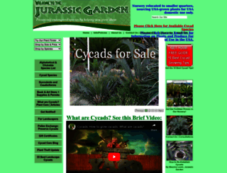 cycadpalm.com screenshot
