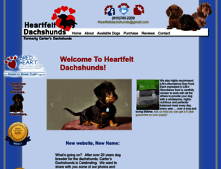 dachshundpuppies.org screenshot