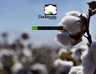 dadasons.com screenshot