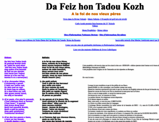dafeizhontadoukoz.org screenshot