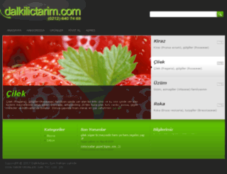 dalkilictarim.com screenshot