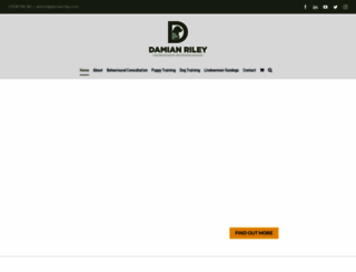 damianriley.com screenshot