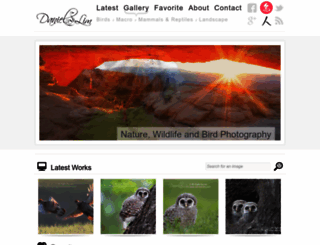 danielslim.com screenshot