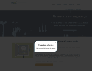 danpaineis.com.br screenshot