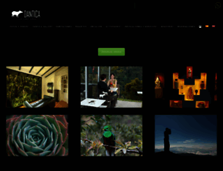 dantica.com screenshot