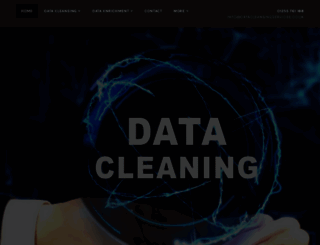 data-cleansing-services.co.uk screenshot