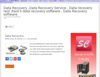 data-recovery-service-software-raid5.com screenshot