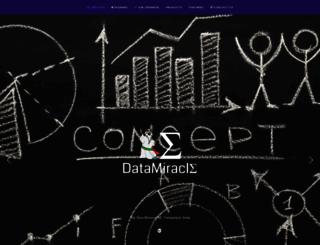 datamiracle.com screenshot
