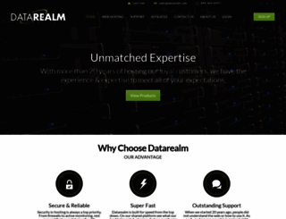 datarealm.com screenshot