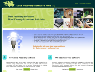 datarecoverysoftwarefree.org screenshot
