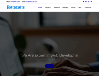 datazuite.com screenshot