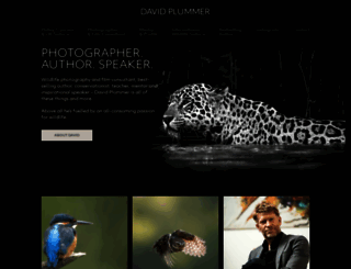 davidplummerimages.co.uk screenshot