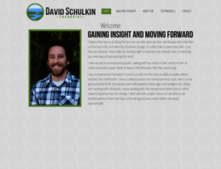davidschulkin.com screenshot