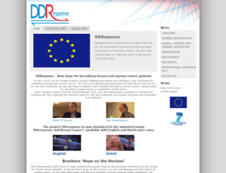 ddresponse.eu screenshot