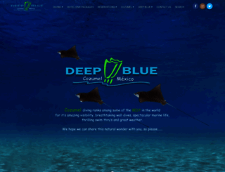 deepbluecozumel.com screenshot