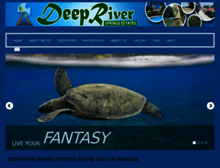 deepriversprings.wordpress.com screenshot