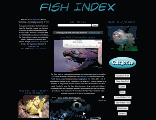 deepseafish.info screenshot