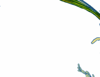 deeth.net screenshot