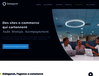 deleganet.com screenshot