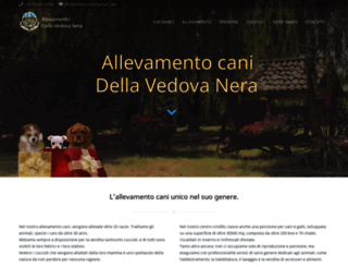 dellavedovanera.com screenshot