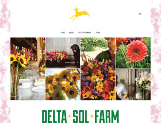 deltasolfarm.com screenshot