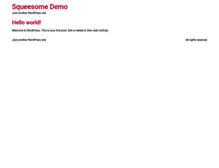 demo.squeesome.com screenshot