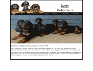 derrydobermans.com screenshot