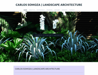 designsomoza.com screenshot