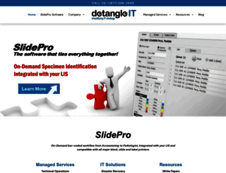 detangleit.com screenshot